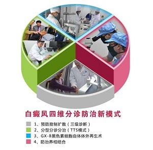 四维分诊模式.jpg