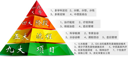 分型分诊,多维治疗1(小版).jpg
